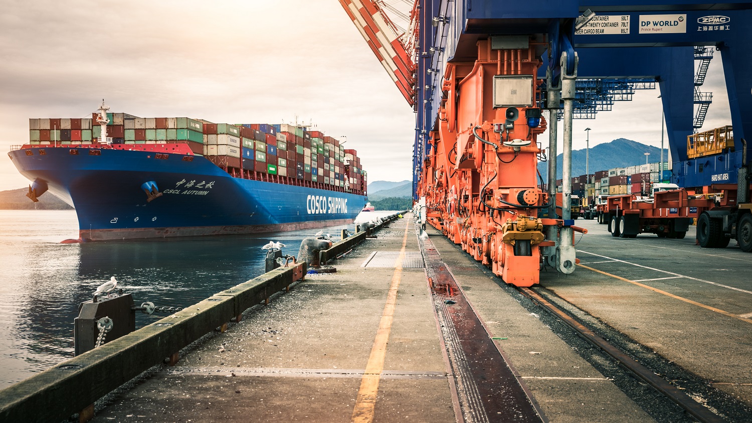 Ocean Freight